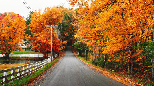 6 Must-Experience New England Drives For Spectacular Fall Foliage ...