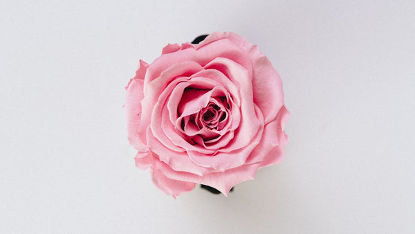 Valentine's Day Sustainable Flower Guide