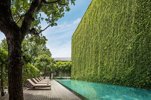 large vertical green wall made out of plants next to infinity lap pool and deck with lounge chairs