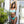 Load image into Gallery viewer, Kailini Bikini Bottom - Mint Chip
